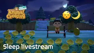 Animal Crossing: New Horizons - Sleep Livestream #10 (Elgato Cam Link 4K test)