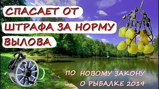 10 НЕОБЫЧНЫХ ТОВАРОВ ДЛЯ РЫБАЛКИ С АЛИЭКСПРЕСС СПАСАЮТ ОТ ШТРАФА ЗА НОРМУ ВЫЛОВА