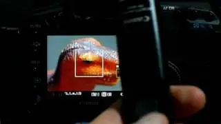 Canon 5D Mark II LIve View with Silent Mode 2 and Remote Release