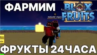 МЫ ФАРМИЛИ ФРУКТЫ 24 ЧАСА! #1 *ВЫПАЛ МИФИК* | Blox Fruits