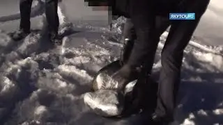 В Хабаровске житель Якутии пойдет под суд за перевозку и хранение 16 килограммов наркотиков