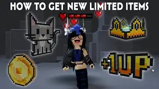 HOW TO GET THE NEW 8-BIT ITEMS (GOING LIMITED)