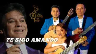 Te sigo amando (Juan Gabriel) Artes trío