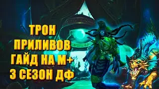 ГАЙД ТРОН ПРИЛИВОВ  М+ Тактика  | 3 сезон Wow 10.2  Dragonflight Сезон 3