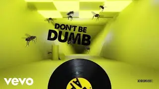 Dizzee Rascal, Ocean Wisdom - Don't Be Dumb (Lyric Video)