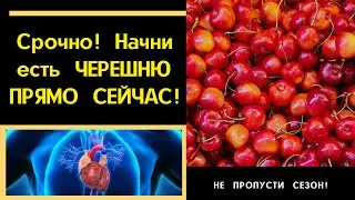 Черешня - незаменимый десерт! Не пропусти сезон!