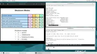 اوراكل داتابيس - Shutdown Oracle Database - 19c