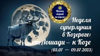 Неделя полнолуния в Козероге: из месяца Лошади — в месяц Козы 2023 (прогноз энергий)