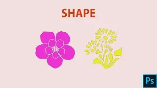 How to add shape in adobe Photoshop