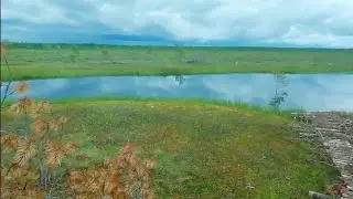Домик на болоте.