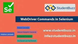 Selenium WebDriver Commands - StudentBuzz