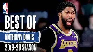 Best Of Anthony Davis | 2019-20 NBA Season