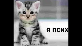 PoE и DaVa!  Билд с 0! На много многог мироров! Сам в аухе!