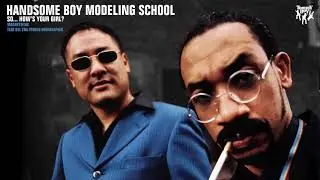 Handsome Boy Modeling School - Magnetizing