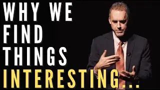 Why We Find Things Interesting ...