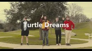 Turtle Dreams