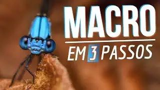 FOTOGRAFIA MACRO COM QUALQUER EQUIPAMENTO | Funciona!
