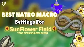 The BEST Natro Macro Settings for Sunflower Fields (Tons of Sunflower Seeds!)