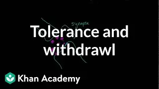 Tolerance and withdrawal | Processing the Environment | MCAT | Khan Academy