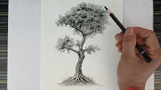 GP Like is live / How to draw a tree by pencil for beginners.
