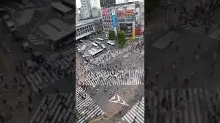 Shibuya crossing top view.   Worlds most crowded crossing.  I 🤔 ... #tokyo #shibuya
