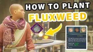 How to Grow & Harvest Fluxweed and Combat Plants ► Hogwarts Legacy