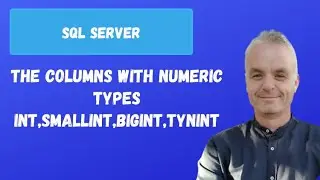 The columns with numeric types INT,SMALLINT,BIGINT,TYNINT | SQL Server