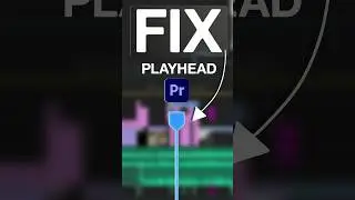 Fixed play head in Adobe Premiere Pro Hindi 