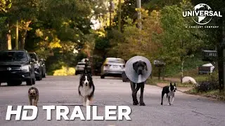 STRAYS | Official Trailer (Universal Studios) - HD