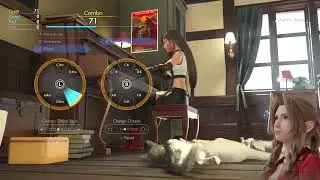 Tifa Play Piano With Cats !