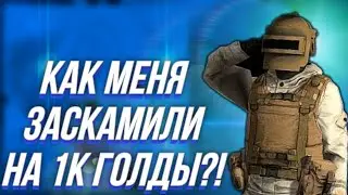 КАК МЕНЯ ЗАСКАМИЛИ НА 1К ГОЛДЫ (ИСТОРИЯ❗️)