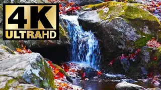 Waterfall sounds for relaxing.Peaceful ambience for SPA,YOGA and Relaxation.8-hours NATURE Sounds