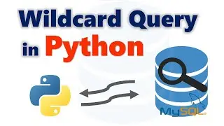 How to retrieve data from database using wildcard in Python