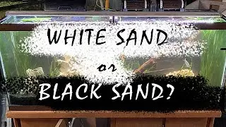 Black or white sand for aquarium - Which one is best? - BEFORE AND AFTER in our 55 gallon fish tank