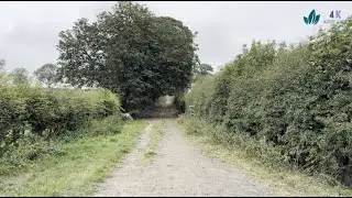 Leisurely walk on a dirt trail