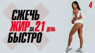 СЖЕЧЬ ЖИР БЫСТРО за 21 День. Тренировка #4