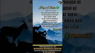 Islamic WhatsApp Status 
