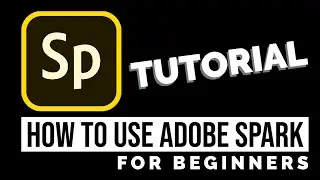 How to Use Adobe Spark (Express) - Beginners Tutorial