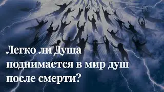 Легко ли Душа поднимается в мир Душ после смерти? #душа #выходизтела #регрессия #мирдуш