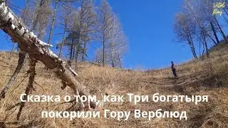 Сказка  о том, как три богатыря покорили гору Верблюд. Виват Алеша Попович!