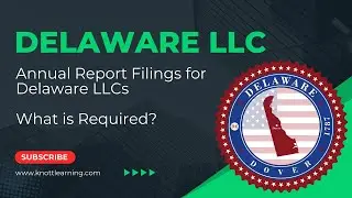 Delaware LLC Annual Report - What Information is Required?