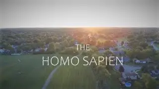 Our Planet - Homo Sapiens (Wildlife Mockumentary)