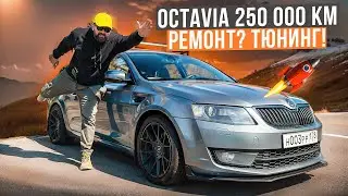 SKODA OCTAVIA A7 250 000 км тюнинг вместо ремонта!