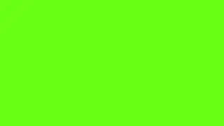 FLASH GREEN SCREEN EFFECT