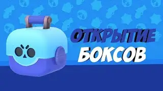 Открыл боксы и выбил...