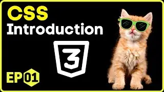 CSS Introduction | CSS in Hindi - 1 #css3