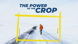 THE POWER OF THE CROP