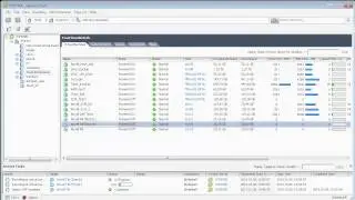 Novell Filr 1.1 - Deploy Appliance the Virtual Environment