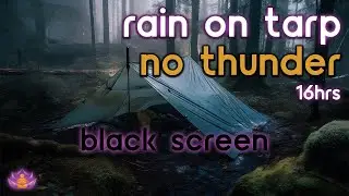 [Black Screen] Rain on Tarp No Thunder | Rain Ambience | Rain Sounds for Sleeping