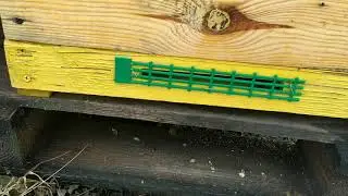 Зимовка, початок), роботи на пасіці, подушки, захист від мишей